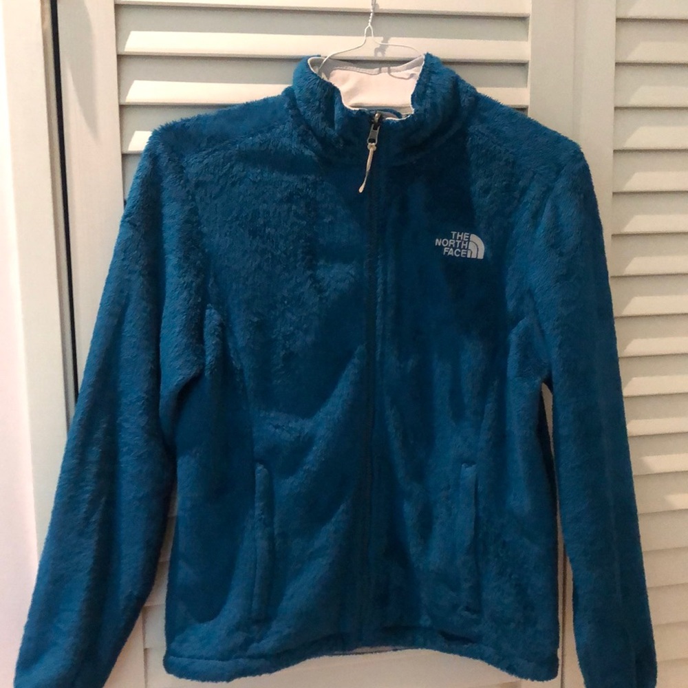 The North Face fuzzy blue jacket